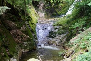 dsc09756