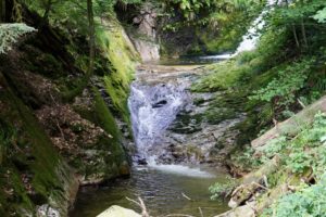 dsc09756